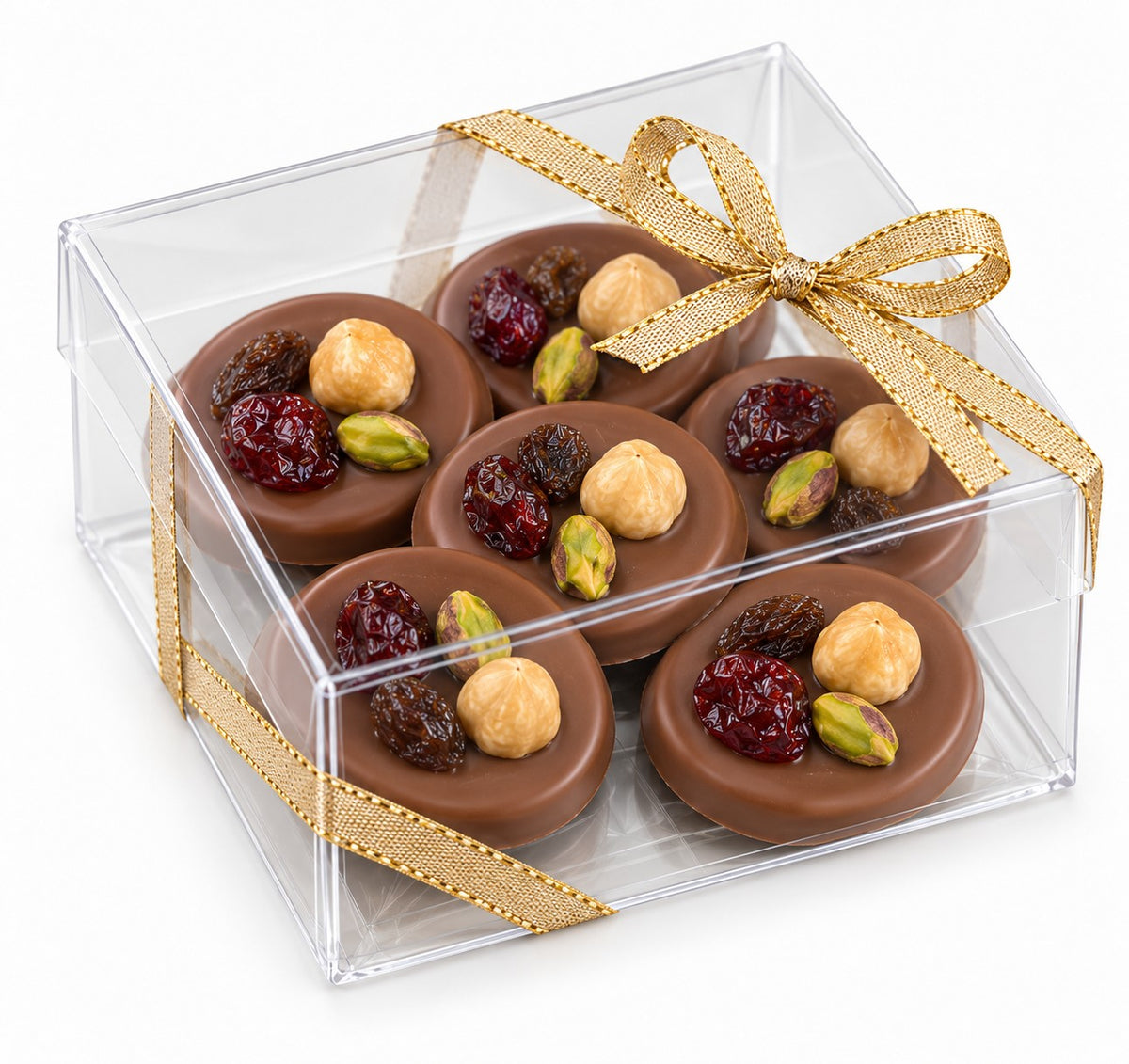 Milk chocolate mendiants, box of 6 (CT5)